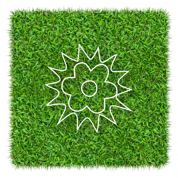 Logotipo de flor de Firecal en blanco sobre cesped