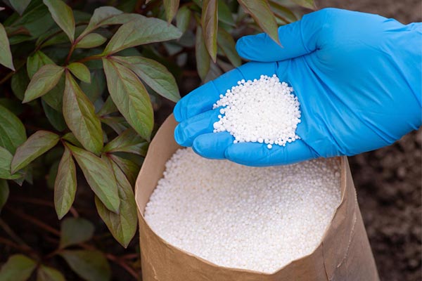 Mano con guante recogiendo fertilizante de un saco