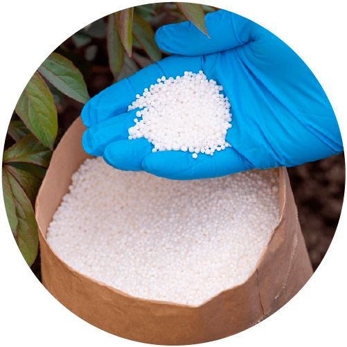 Mano con guante recogiendo fertilizante de un saco